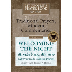 My People's Prayer Book Vol 9: Welcoming the Night—Minchah and Ma'ariv (Afternoon and Evening Prayer)