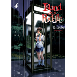 Island in a Puddle 4