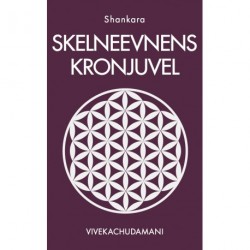 Skelneevnens Kronjuvel: en tidløs lære om non-dualitet