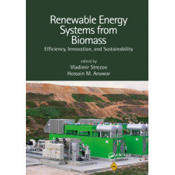 Renewable Energy Systems from Biomass: Efficiency, Innovation and Sustainability