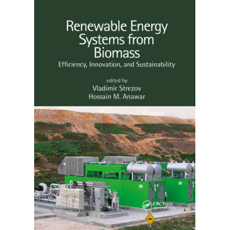 Renewable Energy Systems from Biomass: Efficiency, Innovation and Sustainability