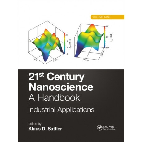 21st Century Nanoscience – A Handbook: Industrial Applications (Volume Nine)