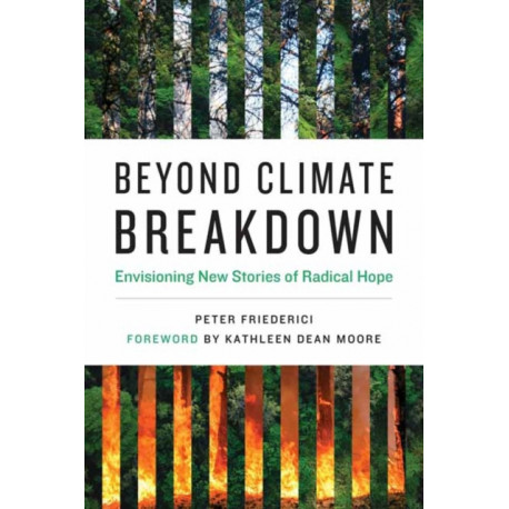 Beyond Climate Breakdown