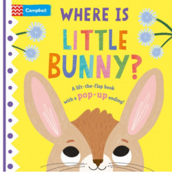 Where is Little Bunny?: The lift-the-flap book with a pop-up ending!