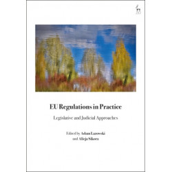 EU Regulations in Practice: Legislative and Judicial Approaches