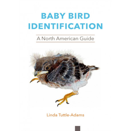 Baby Bird Identification: A North American Guide