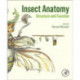 Insect Anatomy: Structure and Function