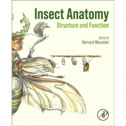 Insect Anatomy: Structure and Function