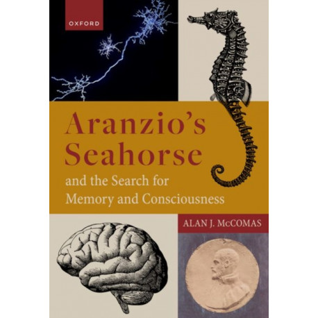 Aranzio's Seahorse and the Search for Memory and Consciousness: The Search for Memory and Consciousness