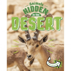 Animals Hidden in the Desert