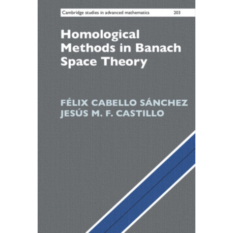 Homological Methods in Banach Space Theory
