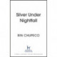 Silver Under Nightfall: an unmissable, action-packed dark fantasy featuring blood thirsty vampire courts, political intrigue, and a delicious forbidden-romance!