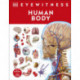 Human Body