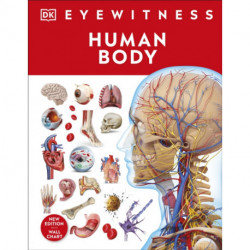 Human Body