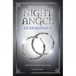 Night Angel -2:  Gudekongen