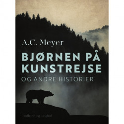 Bjørnen på kunstrejse og andre historier