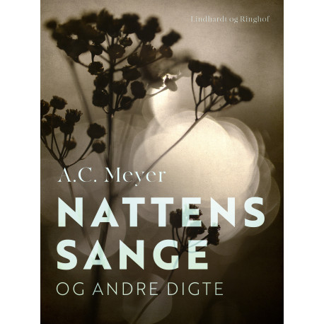 Nattens sange og andre digte