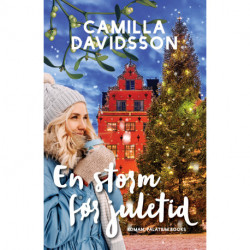 En storm før juletid