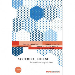 Systemisk ledelse - Den refleksive praktiker, 2. udgave: Den refleksive praktiker