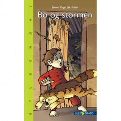 Bo og stormen