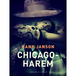 Chicago-harem