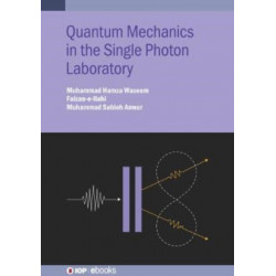 Quantum Mechanics in the Single Photon Laboratory