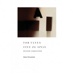 Sten og spejl: mixtum compositum