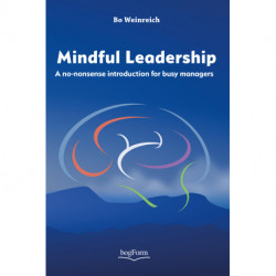 Mindful leadership: A no-nonsense introduction for busy managers