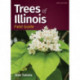 Trees of Illinois Field Guide