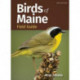 Birds of Maine Field Guide