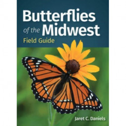 Butterflies of the Midwest Field Guide