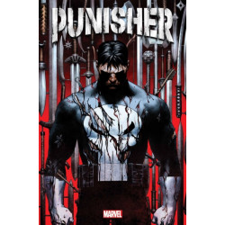 Punisher Vol. 1