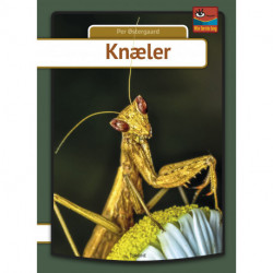 Knæler