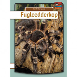 Fugleedderkop