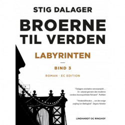 Labyrinten - Broerne til verden 3