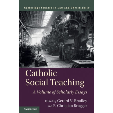 Catholic Social Teaching: A Volume of Scholarly Essays