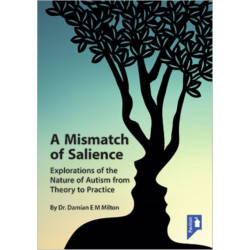 A Mismatch of Salience: Explorations from the Nature of Autism from Theory to Practice