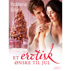 Et erotisk ønske til jul - Erotisk julenovelle