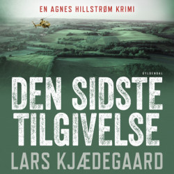 Den sidste tilgivelse: Agnes Hillstrøm 9