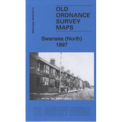 Swansea (North) 1897: Glamorgan Sheet 24.01