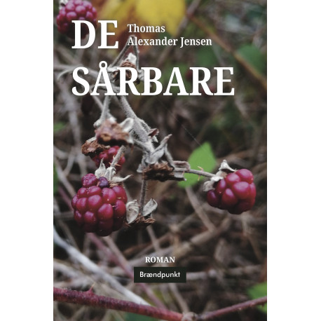 De sårbare