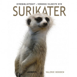 Surikater