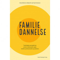 Familiedannelse: Tværfaglige perspektiver på det relationelle møde mellem professionelle og familier