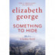 Something to Hide: An Inspector Lynley Novel: 21