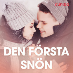 Den första snön – erotisk novell