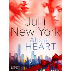 Jul i New York – erotisk julenovelle