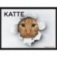Katte