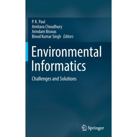 Environmental Informatics: Challenges and Solutions
