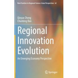 Regional Innovation Evolution: An Emerging Economy Perspective