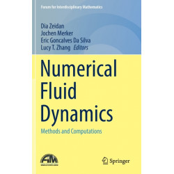 Numerical Fluid Dynamics: Methods and Computations